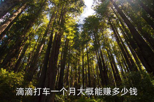 滴滴打車一個月大概能賺多少錢
