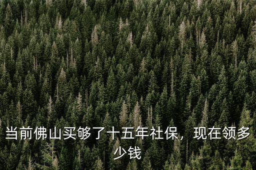 廣東佛山社保買夠15年有多少,在廣東佛山工廠買的社保