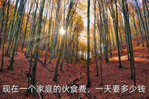 現(xiàn)在一個(gè)家庭的伙食費(fèi)，一天要多少錢(qián)