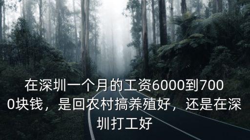 在深圳一個月的工資6000到7000塊錢，是回農村搞養殖好，還是在深圳打工好