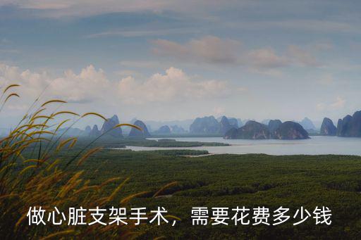 做心臟支架手術(shù)，需要花費(fèi)多少錢