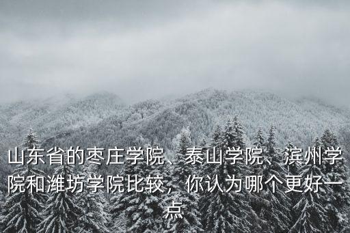 濰坊學院2O19年招了多少學生,濱州學院和濰坊學院比較