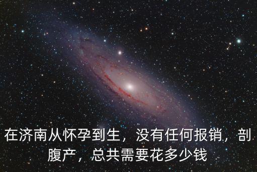 在濟南生孩子要花多少錢,在濟南從懷孕到生