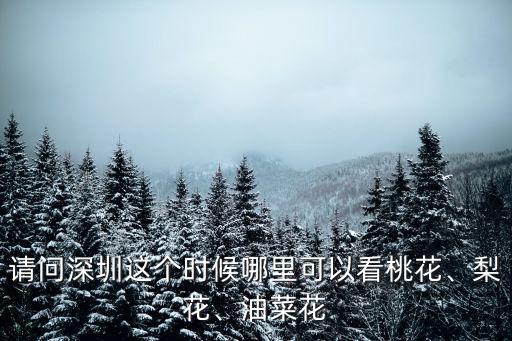 深圳桃花運在哪里,深圳現在哪個地方能賞桃花