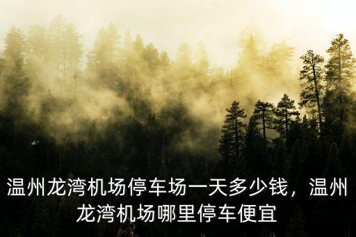 溫州龍灣機場停車場一天多少錢，溫州龍灣機場哪里停車便宜