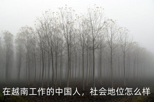 在越南工作的中國人，社會地位怎么樣
