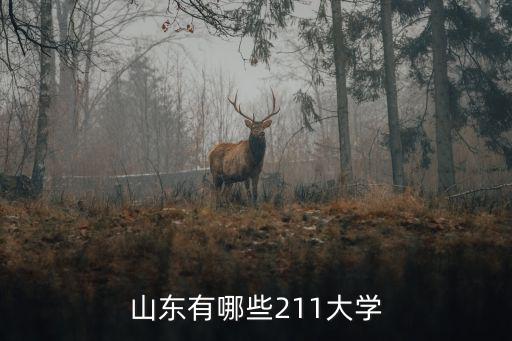 山東有哪些211大學