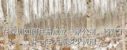 深圳注冊一個小公司多少錢,在深圳如何注冊成立一家公司