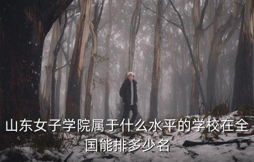 山東女子學院屬于什么水平的學校在全國能排多少名
