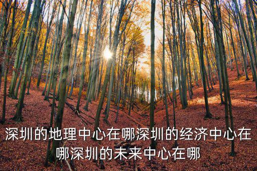 深圳的地理中心在哪深圳的經濟中心在哪深圳的未來中心在哪