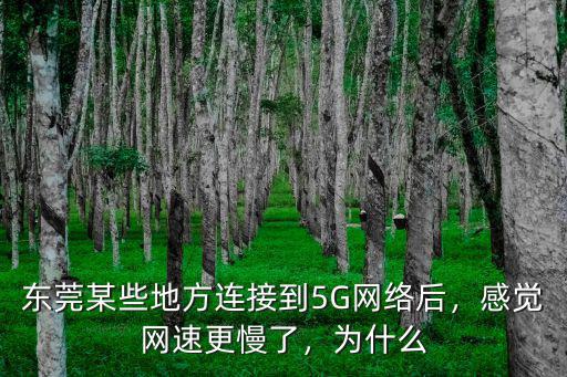 東莞某些地方連接到5G網(wǎng)絡(luò)后，感覺網(wǎng)速更慢了，為什么