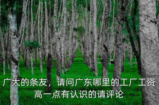 廣大的條友，請問廣東哪里的工廠工資高一點有認識的請評論