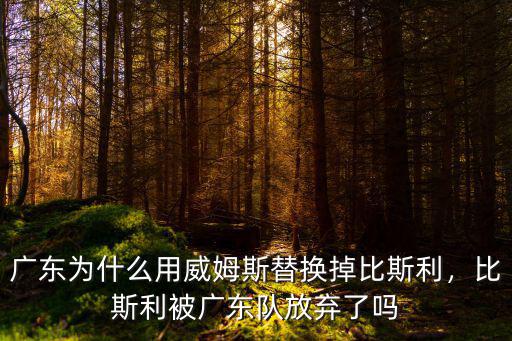 廣東為什么用威姆斯替換掉比斯利，比斯利被廣東隊放棄了嗎