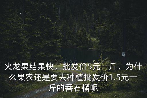 廣州火龍果批發價多少一斤,批發價5元一斤