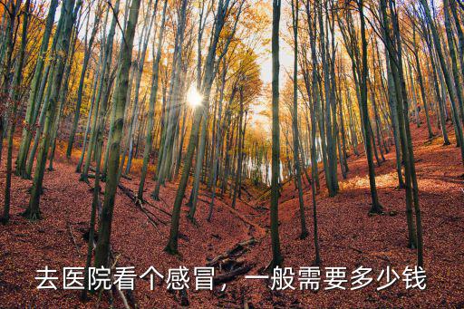 寧波第一醫院感冒多少錢啊,去醫院看個感冒