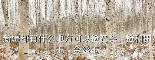 河源哪里有撿石頭的,新疆都有什么地方可以撿石頭