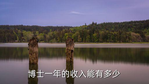 青島農大博士的工資是多少,青島工資一萬屬于什么水平
