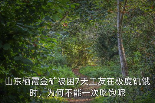 山東棲霞金礦事故共被困多少人,山東棲霞一金礦發(fā)生爆炸