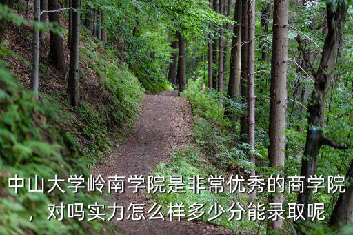 中山大學錄取總分多少2017,報考中山大學需要多少分
