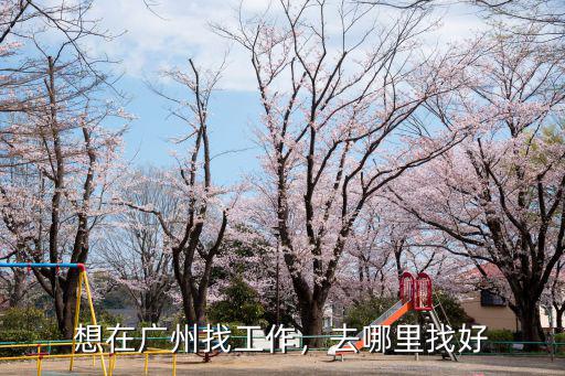 廣州花都哪里找工作最好找,想去廣州找工作
