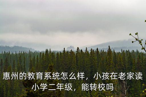 惠州大亞灣的小學(xué)怎么樣,惠州的教育系統(tǒng)怎么樣