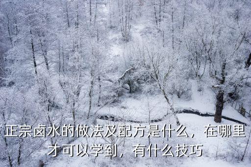 惠州哪里有正宗潮汕鹵水,正宗潮州鹵水怎么做
