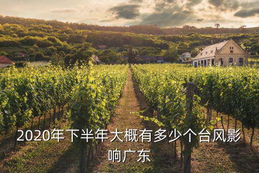 廣東今年有多少次臺(tái)風(fēng)了,臺(tái)風(fēng)季要開啟了