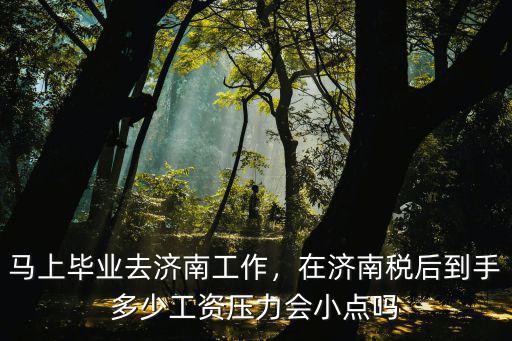 濟南18136稅后工資多少,在濟南稅后到手多少工資