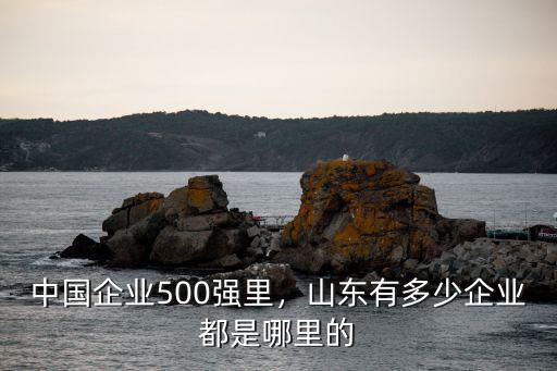 青島有多少家五百強企業,山東有多少企業