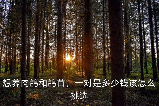想養(yǎng)肉鴿和鴿苗，一對(duì)是多少錢該怎么挑選
