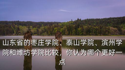 山東省的棗莊學院、泰山學院、濱州學院和濰坊學院比較，你認為哪個更好一點