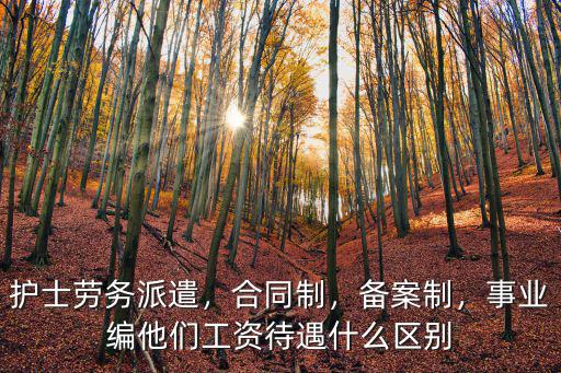 護士勞務派遣，合同制，備案制，事業編他們工資待遇什么區別