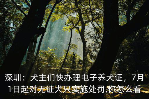 深圳：犬主們快辦理電子養犬證，7月1日起對無證犬只實施處罰,你怎么看