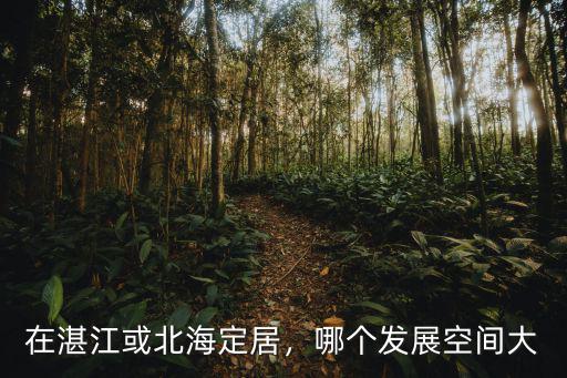 在湛江或北海定居，哪個發展空間大
