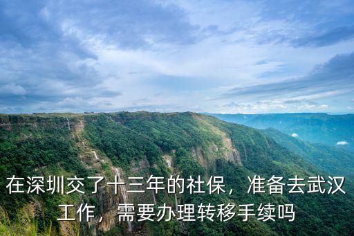 在深圳辦的社保怎么轉到武漢,在深圳交了十三年的社保