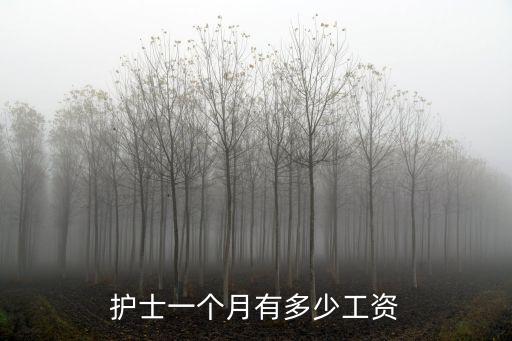 煙臺事業(yè)編護(hù)士基本工資多少,護(hù)士一個月有多少工資