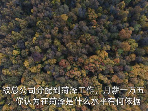 被總公司分配到菏澤工作，月薪一萬五，你認為在菏澤是什么水平有何依據