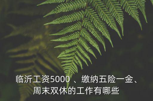 臨沂工資5000 、繳納五險一金、周末雙休的工作有哪些