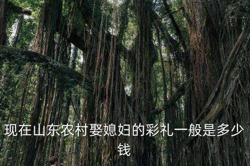 現(xiàn)在山東農(nóng)村娶媳婦的彩禮一般是多少錢