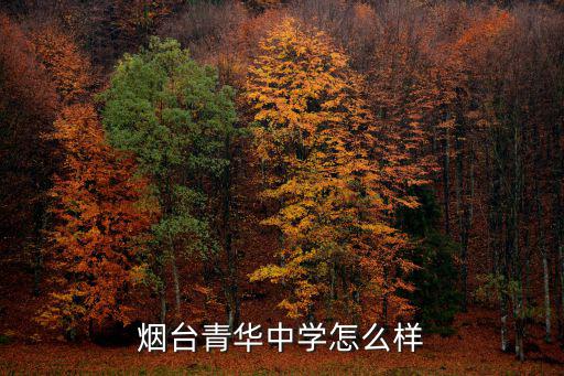 煙臺每年多少清華北大,煙臺青華中學怎么樣