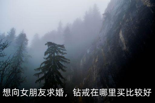 想向女朋友求婚，鉆戒在哪里買比較好