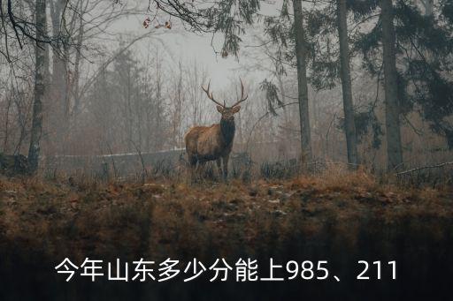 山東大考多少分可以沖擊,山東財經大學多少分能上