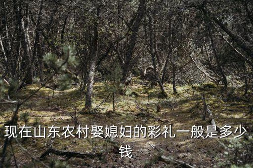 山東農(nóng)村結(jié)婚一般需要多少錢,結(jié)婚娶媳婦彩禮一般多少錢