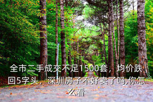 深圳購(gòu)買力怎么這么強(qiáng),深圳房子不好賣了嗎