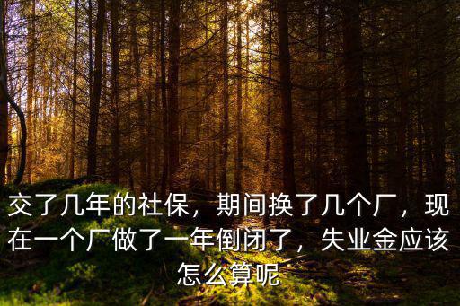 寧波社保失業金每個月多少,失業后想領失業金