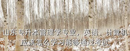 山東專升本管理學專業，英語、計算機應該怎么學習能夠通過考試