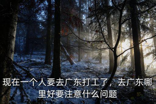 你要去哪里呀要來廣東嗎,現在去廣東要什么證明嗎
