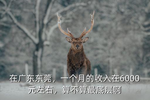 在廣東東莞，一個月的收入在6000元左右，算不算最底層啊
