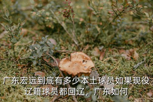 廣東宏遠到底有多少本土球員如果現役遼籍球員都回遼，廣東如何
