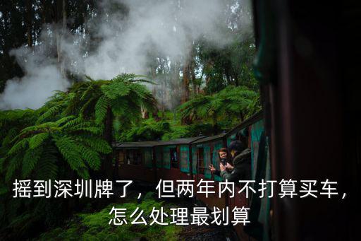 搖到深圳牌了，但兩年內不打算買車，怎么處理最劃算